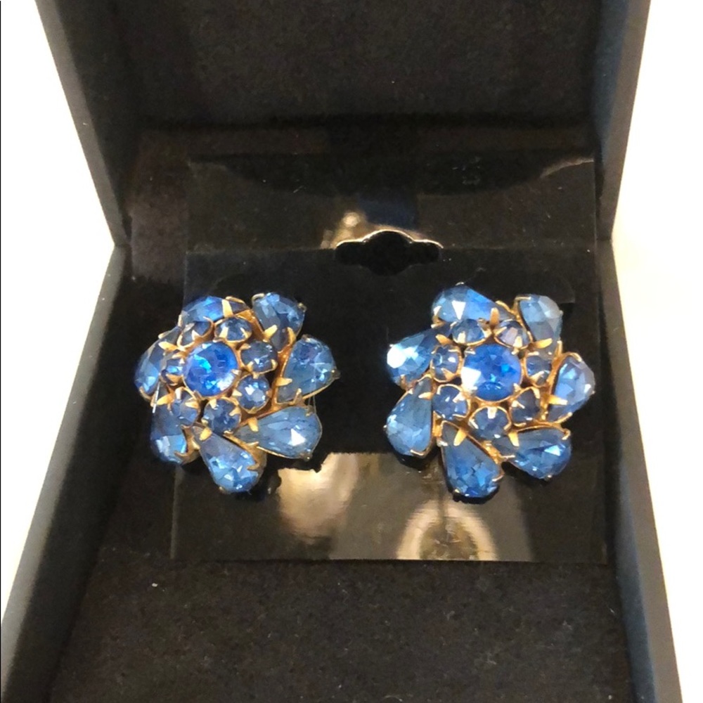 Beautiful Vintage Screw Back Blue Jeweled Earrings